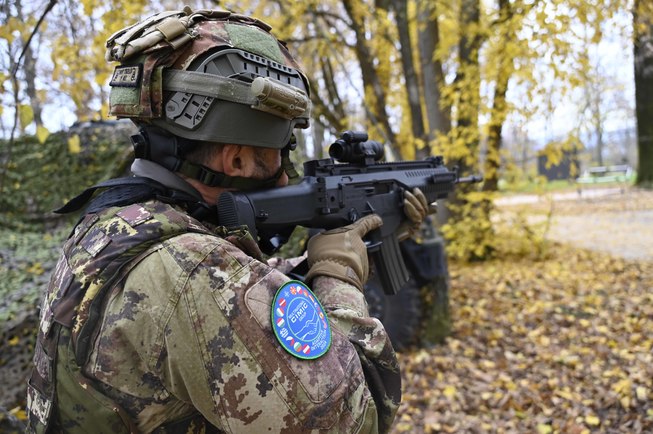 Focused aim in the forest